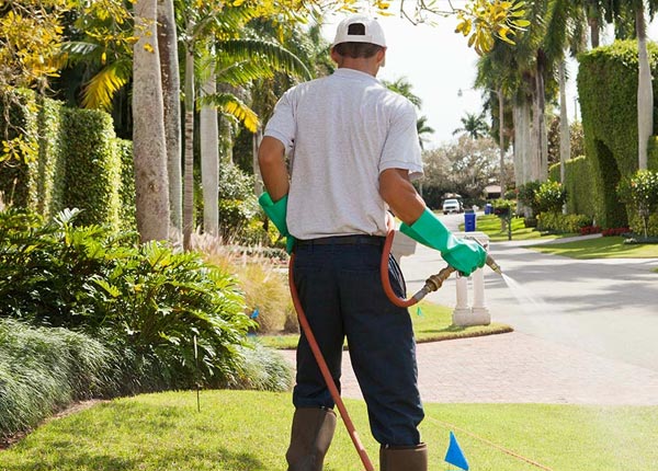 About Marble Falls TX Pest Control Pros